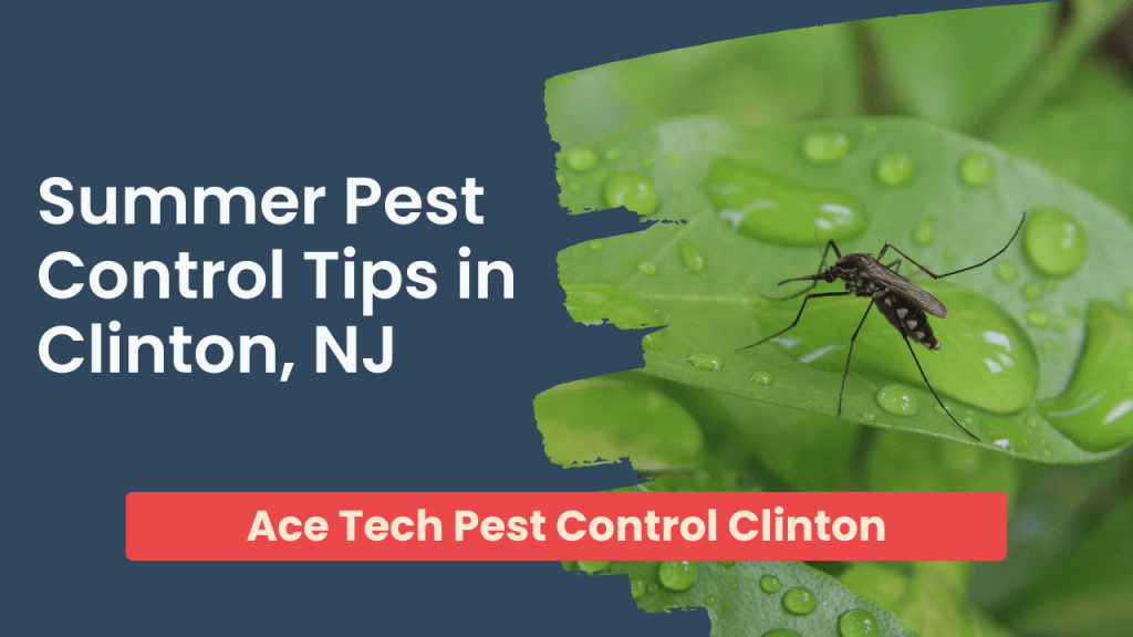 Learn More About Us Ace Tech Pest Control Clinton